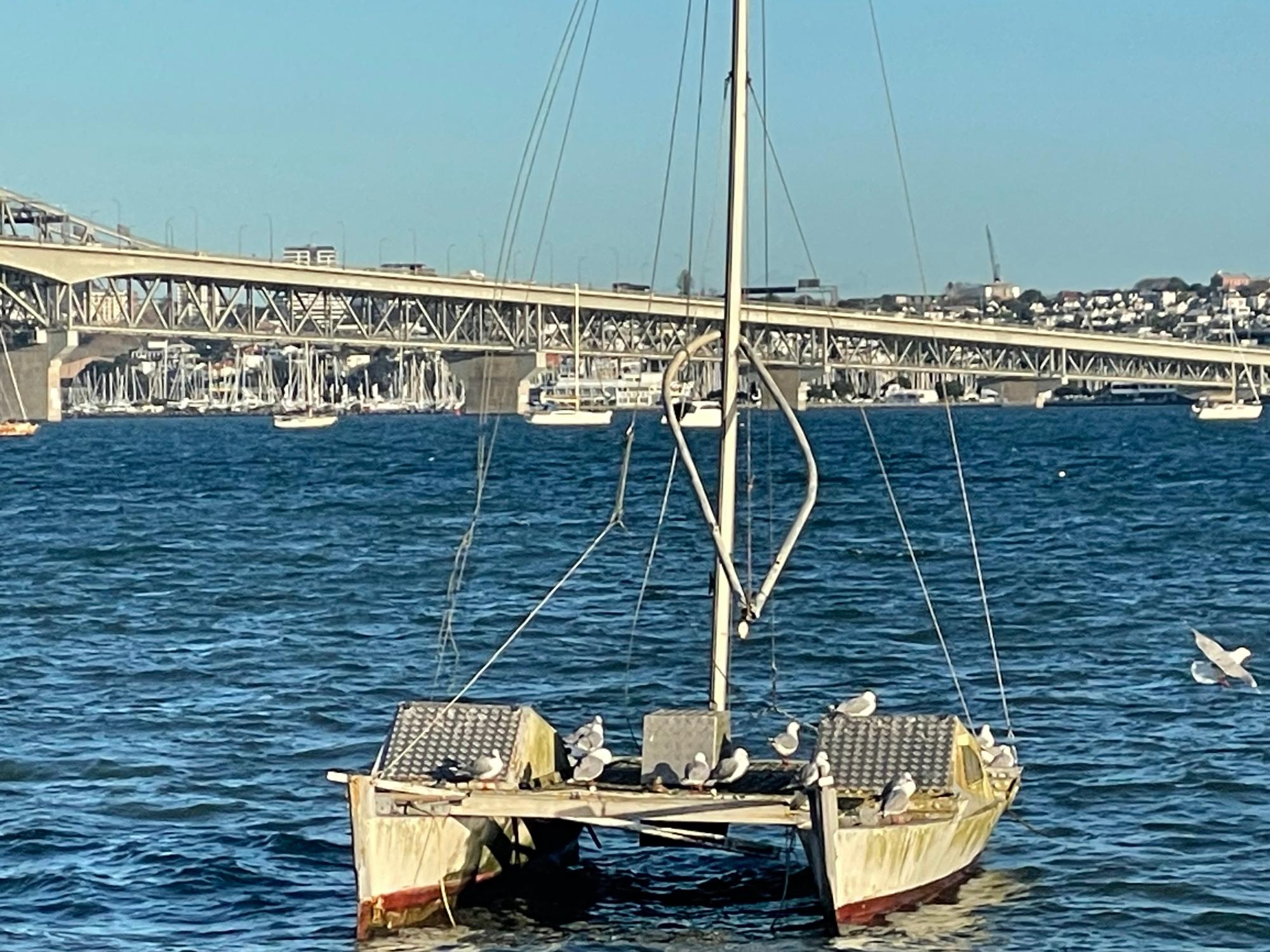 足球直播线上看